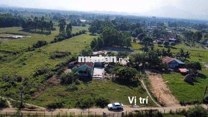 CHÍNH CHỦ CẦN BÁN NHANH ĐẤT NINH XUÂN - Khu Công Nghiệp Ninh Xuân