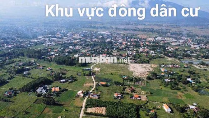 CHÍNH CHỦ CẦN BÁN NHANH ĐẤT NINH XUÂN - Khu Công Nghiệp Ninh Xuân