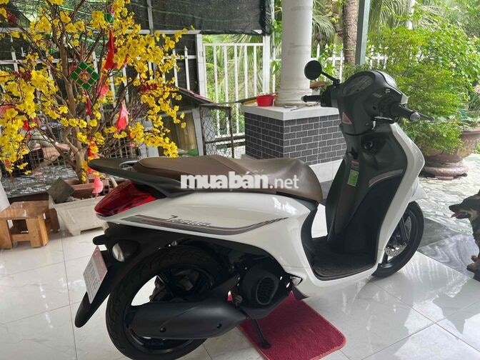 Yamaha Janus 2022 Trắng