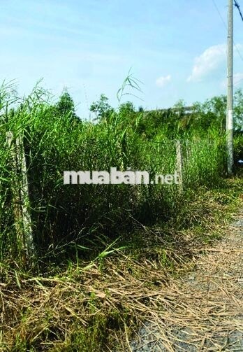 Bán đất khu An Phước-Tam Thôn Hiệp