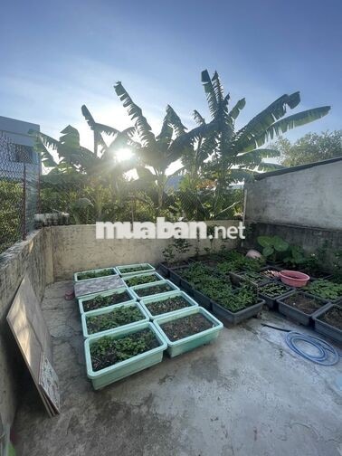 CHÍNH CHỦ BÁN NHÀ 125m² - ĐIỆN BÀN BẮC, TP ĐÀ NẴNG
