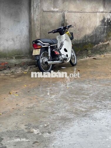 Honda Dream 2000 Trắng