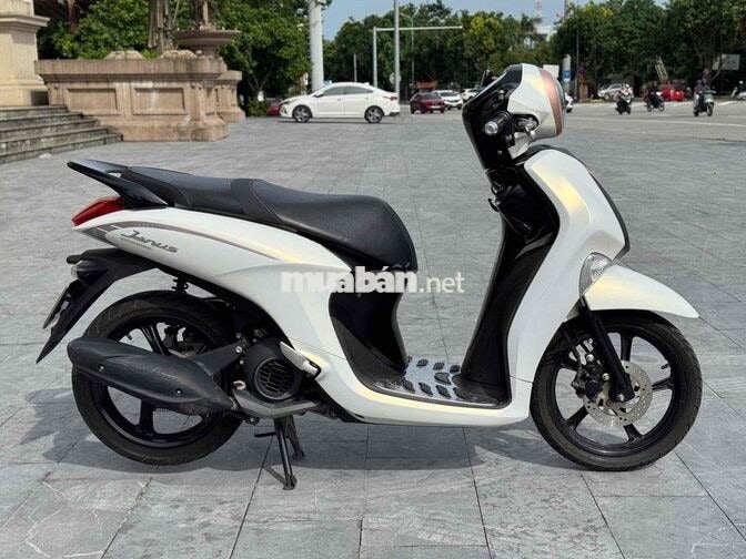 Yamaha Janus Trắng Nữ