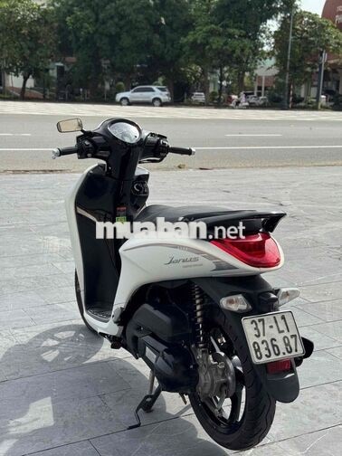 Yamaha Janus Trắng Nữ