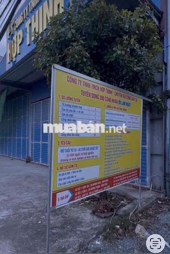 Đất mặt tiền QL12B, ngay giao lộ Đại Lộ Đông Tây