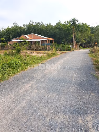 Cho thuê nhà đất mặt tiền trang trại, nhà xưởng, kinh doanh... 