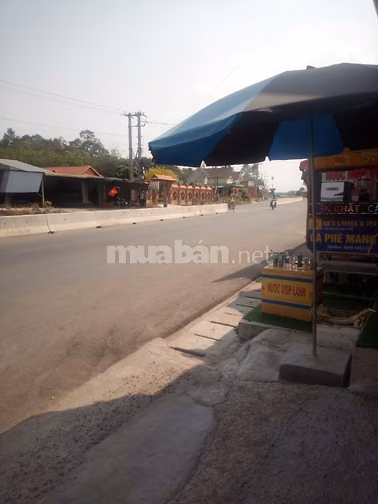 Cho thuê nhà đất mặt tiền trang trại, nhà xưởng, kinh doanh... 