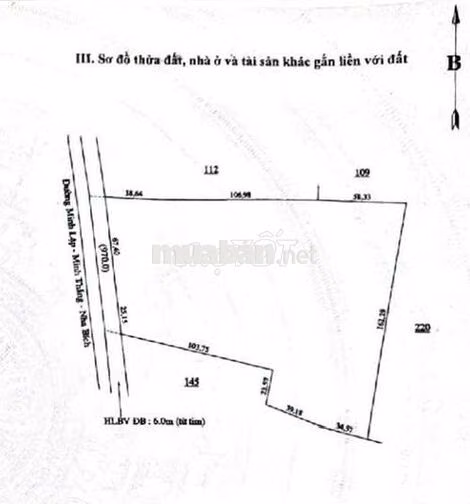 Bán 3 hecta cao su, mặt tiền đường nhựa 9m, Minh Lập - Chơn Thành - BP