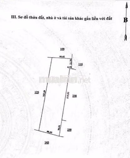 Bán 3 hecta cao su, mặt tiền đường nhựa 9m, Minh Lập - Chơn Thành - BP