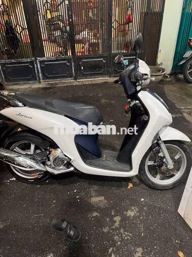 Yamaha Janus 2021 Trắng Xanh