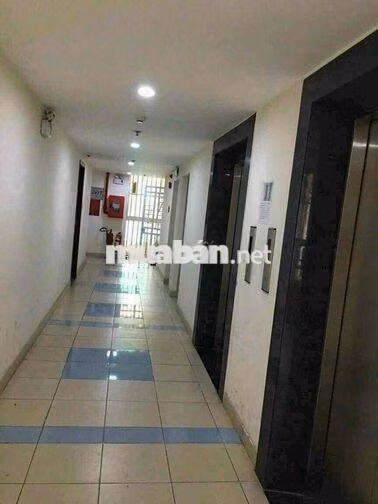 Căn Hộ. C.c Đông Hải 47m2 2PN / 2WC Sổ Hồng Riêng