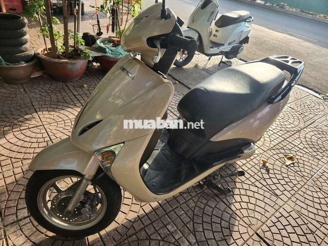 Honda Lead 2010 Vàng đồng