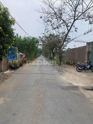 Bán gấp đất Mặt Tiền Kinh C, Xã Tân Nhựt, Huyện Bình Chánh, DT:9300m2