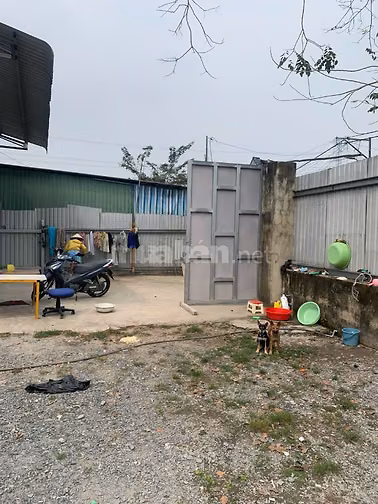 Bán gấp đất Mặt Tiền Kinh C, Xã Tân Nhựt, Huyện Bình Chánh, DT:9300m2