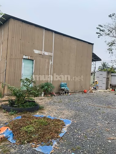 Bán gấp đất Mặt Tiền Kinh C, Xã Tân Nhựt, Huyện Bình Chánh, DT:9300m2