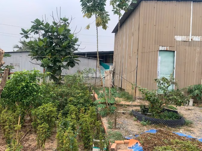 Bán gấp đất Mặt Tiền Kinh C, Xã Tân Nhựt, Huyện Bình Chánh, DT:9300m2