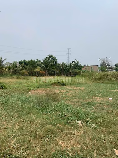 Bán gấp đất Mặt Tiền Kinh C, Xã Tân Nhựt, Huyện Bình Chánh, DT:9300m2