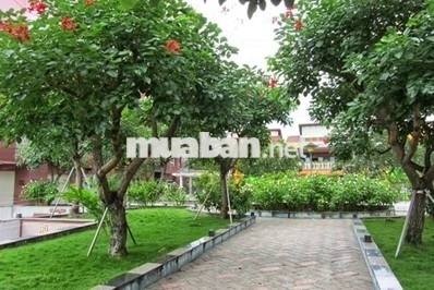 Cần bán căn hộ CC Thái An, Quận 12, DT 40m2, 1PN 1WC giá 1,450 tỷ