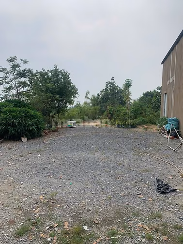 Bán gấp đất Mặt Tiền Kinh C, Xã Tân Nhựt, Huyện Bình Chánh, DT:9300m2