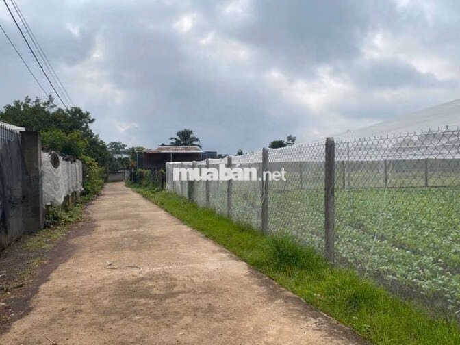 CHÍNH CHỦ BÁN NHANH LÔ ĐẤT FULL THỔ CƯ – XUÂN PHÚ, ĐỒNG NAI