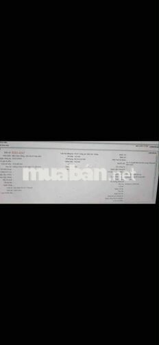 Suzuki Stinger 120 2009 Xanh 6 số