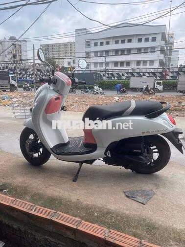 Honda Scoopy Thái Lan Trắng hồng 24k