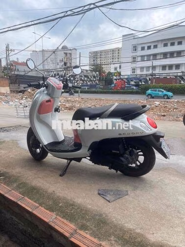 Honda Scoopy Thái Lan Trắng hồng 24k