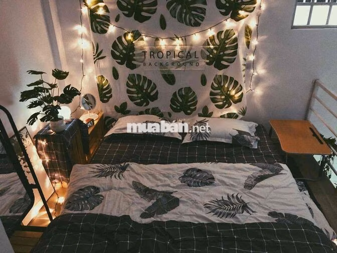 Giảm giá sốc Duplex full nội thất cửa sổ thoáng