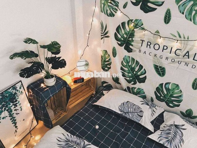 Giảm giá sốc Duplex full nội thất cửa sổ thoáng