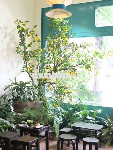 Sang nhượng cafe Quận 3 chính chủ