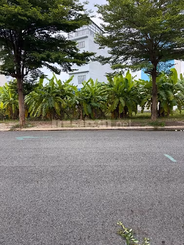 Bán nền đất 5x20m KDC Đại Phúc, Xã Bình Hưng, Bình Chánh