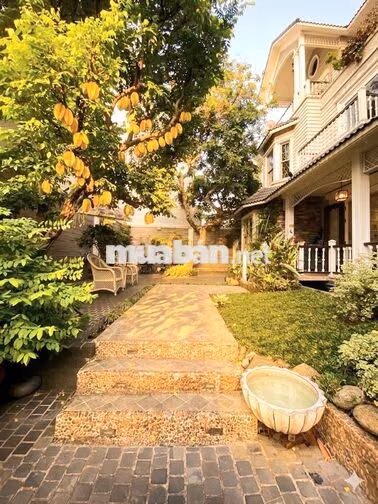 Siêu biệt thự liền kề đẳng cấp giữa trung tâm Sài Gòn sôi động