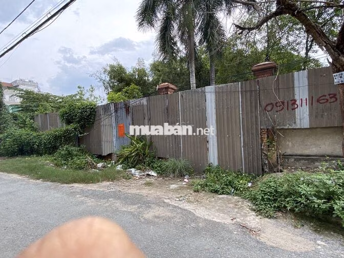 1395m2 ĐẤT MẶT TIỀN ĐƯỜNG TRẦN VĂN GIÀU, XÃ BÌNH LỢI, TPHCM