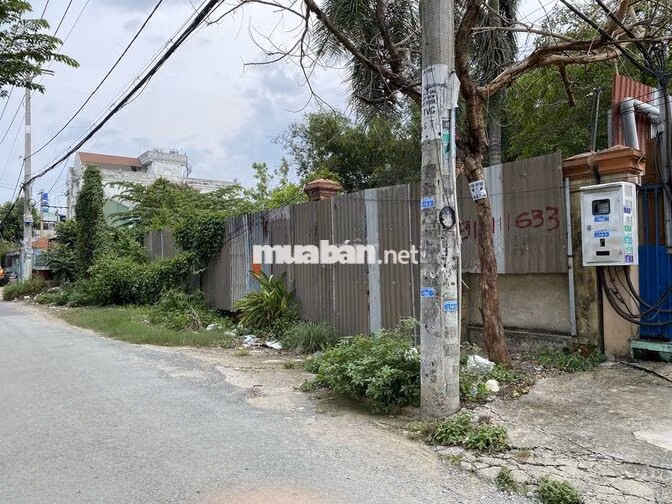 1395m2 ĐẤT MẶT TIỀN ĐƯỜNG TRẦN VĂN GIÀU, XÃ BÌNH LỢI, TPHCM