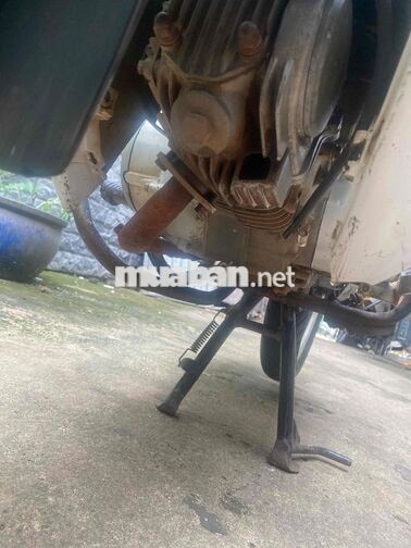 Honda Wave 110cc Trắng