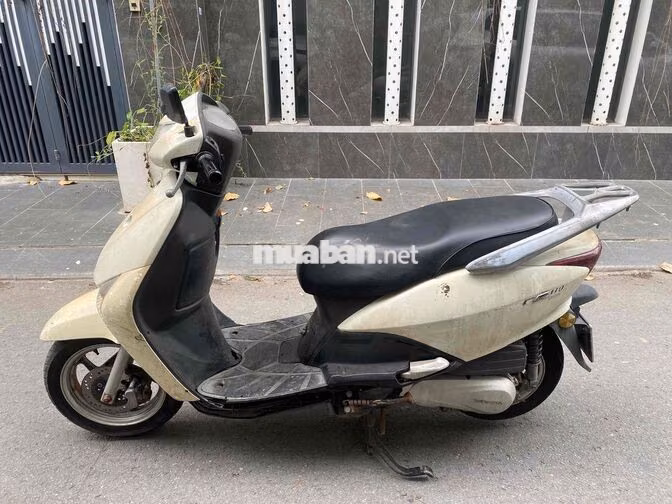 Honda  Vàng kem