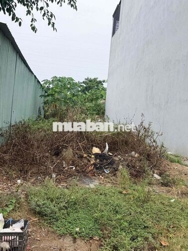 Mặt tiền Hoà Phú 8 Trục đường 5.5m vỉa hè 3m Nằm ngay trung tâm phường