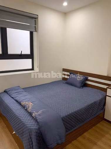 Cho thuê chung cư Topaz Home - Căn 2PN, full NT giá thuê 9tr/th