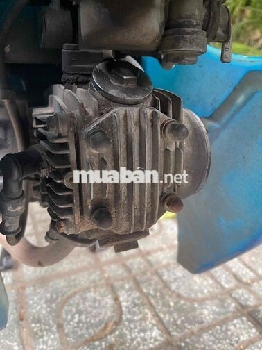 Honda Wave 50cc Xanh Xe số ko cần bằng lái