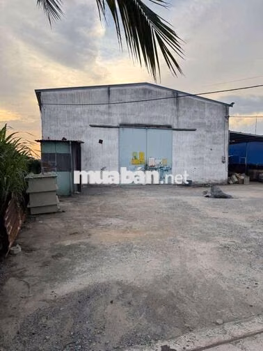 xưởng 1000m giá 37 triệu Tân Hiệp Hóc Môn