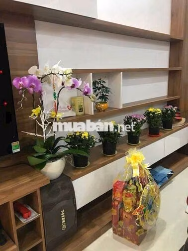KDC dương hồng DT 5m x 20m 1 hầm 4 tầng 