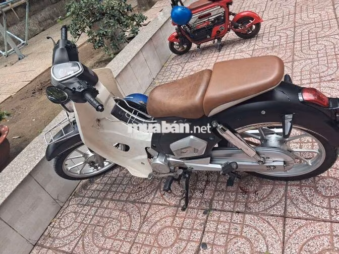  Cup 50cc, đời 2024 Trắng, Đen