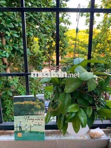 Tìm nữ NV văn phòng ở ghép lầu 4 thang bộ, quận 10