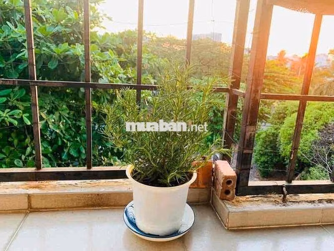 Tìm nữ NV văn phòng ở ghép lầu 4 thang bộ, quận 10