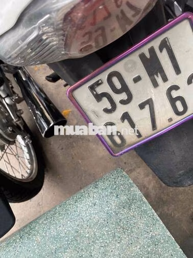 Suzuki 2013