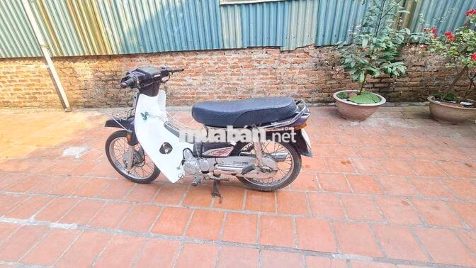 Honda Dream 2014 Đen, Trắng