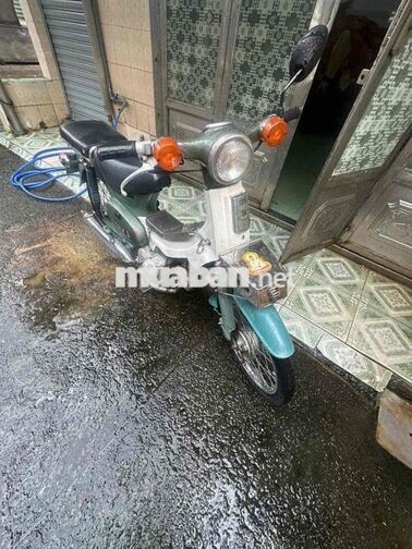 Honda Cup 50 Xanh 49 cm3