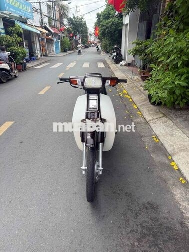 Honda Citi Trắng Nâu Xe số