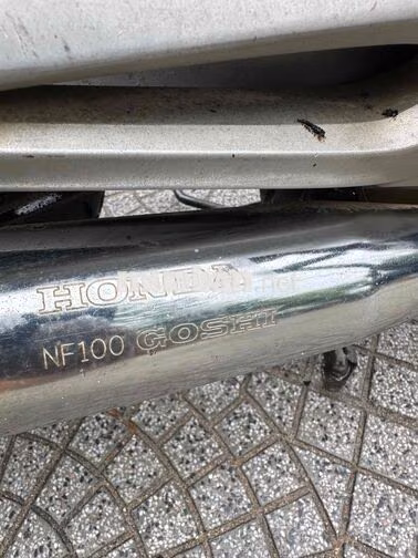 Honda Wave Đỏ Chính hãng