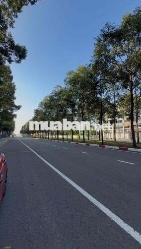 CHO THUÊ MẶT BẰNG – ĐƯỜNG LÝ THÁI TỔ, THÀNH PHỐ MỚI BÌNH DƯƠNG